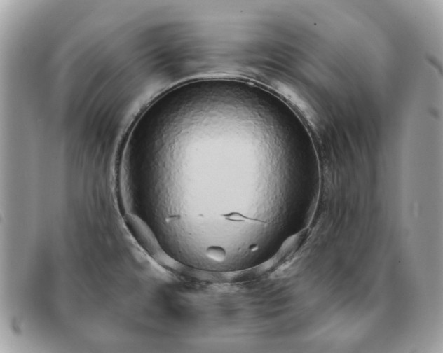 X0000091311480200708171403