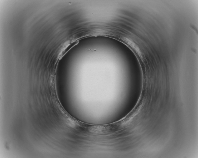 X0000091311481200708171403