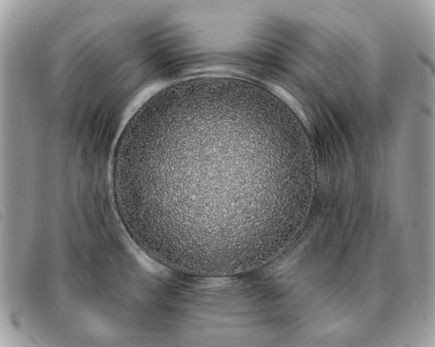 X0000091311482200708171403