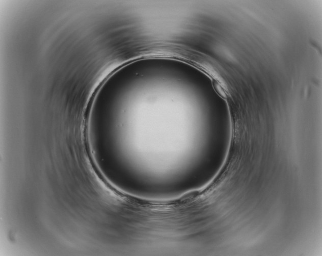 X0000091311484200708171403