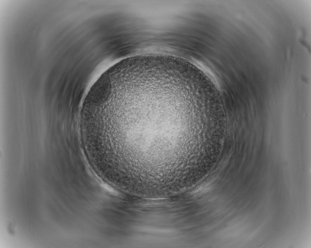 X0000091311486200708171403