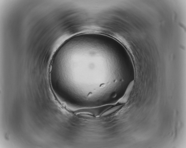 X0000091311488200708171403