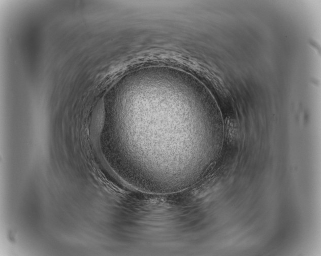 X0000091311489200708171403