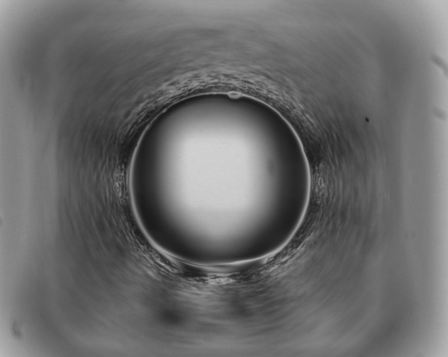 X0000091311490200708171403