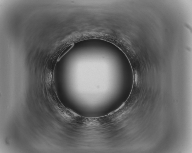 X0000091311492200708171403