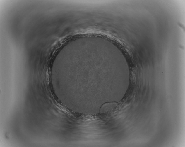 X0000091311493200708171403