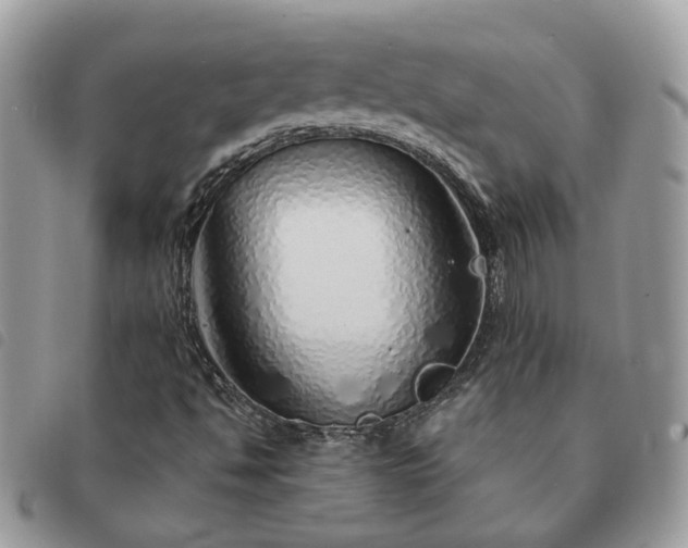 X0000091311494200708171403