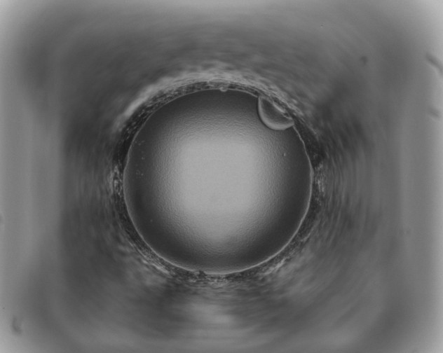 X0000091311495200708171403