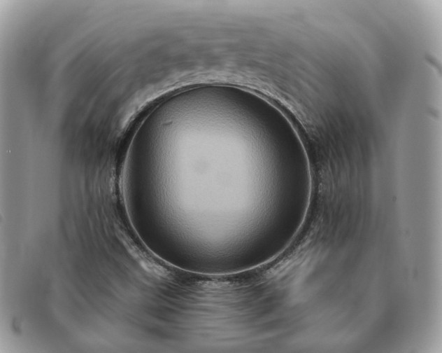 X0000091311499200708171403