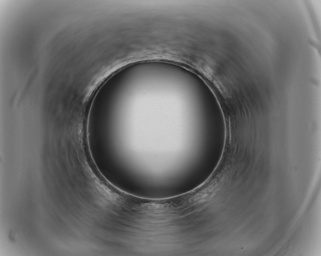 X0000091311500200708171403