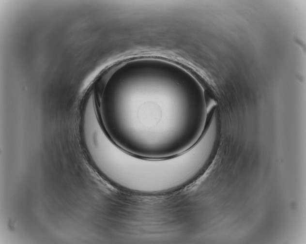 X0000091311502200708171403