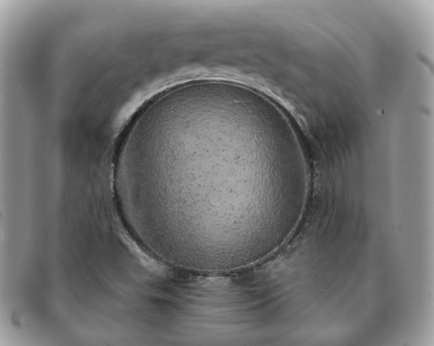 X0000091311503200708171403