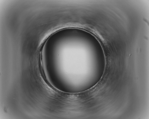 X0000091311504200708171403