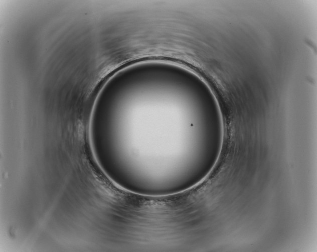 X0000091311505200708171403