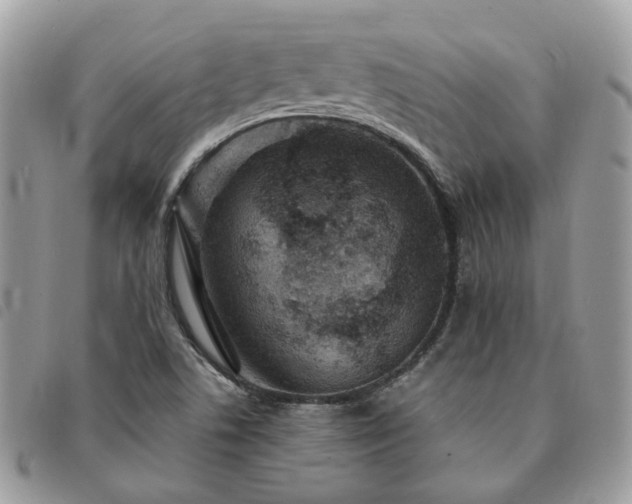 X0000091311506200708171403