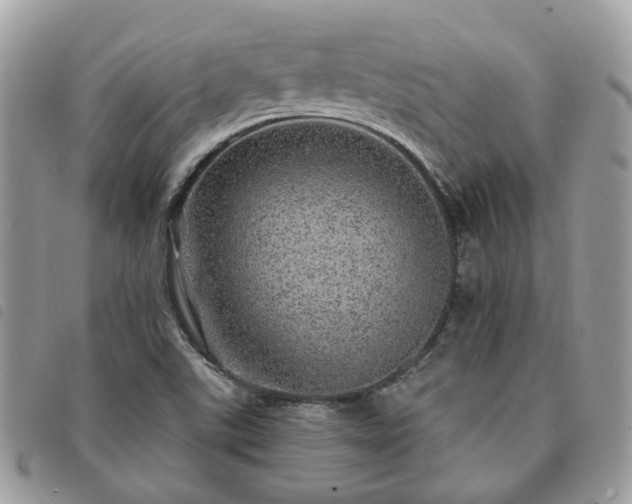 X0000091311507200708171403