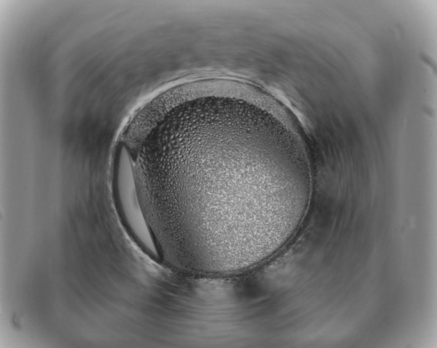 X0000091311508200708171403