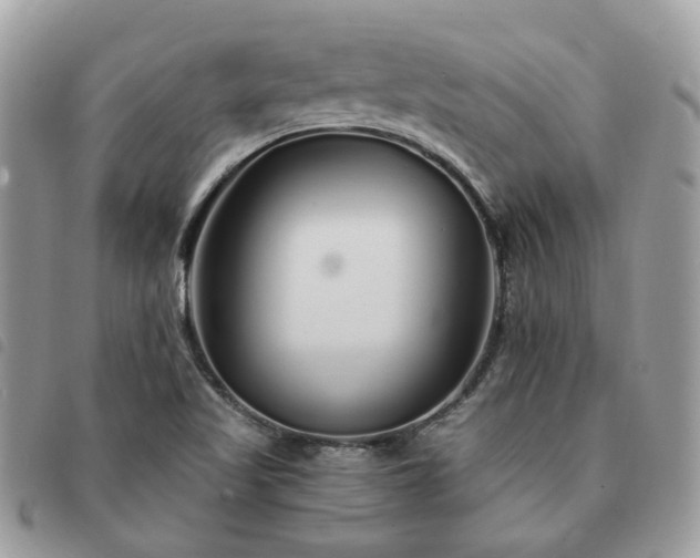 X0000091311509200708171403