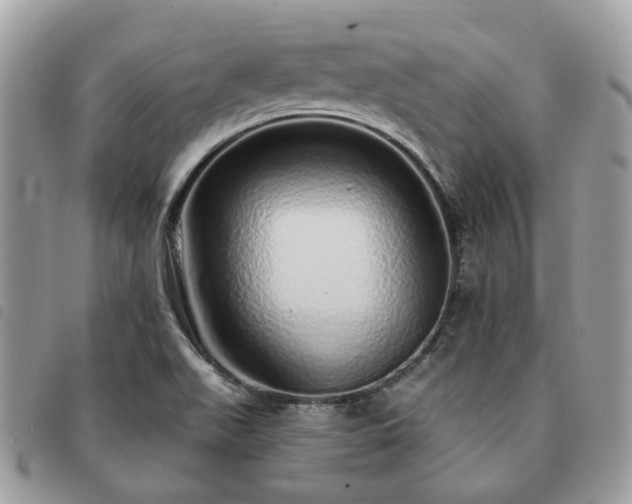 X0000091311511200708171403