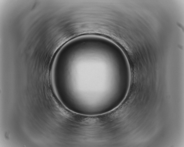 X0000091311513200708171403