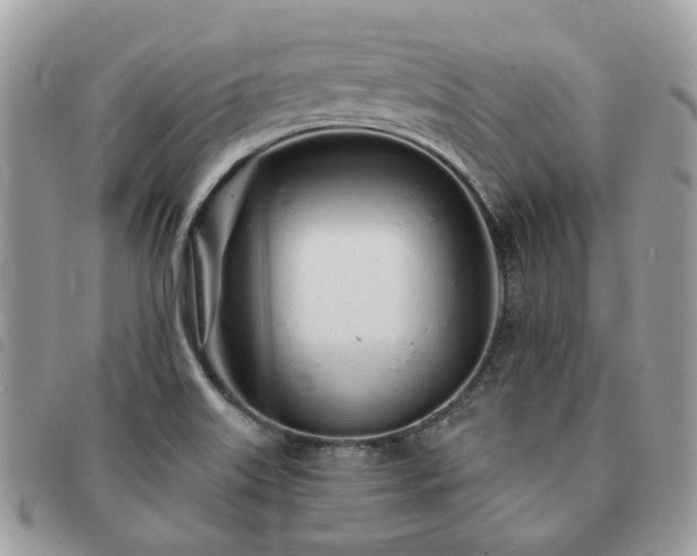 X0000091311515200708171403