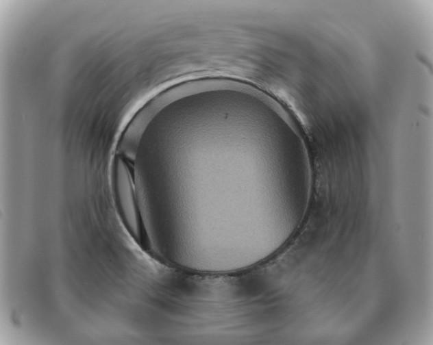 X0000091311516200708171403