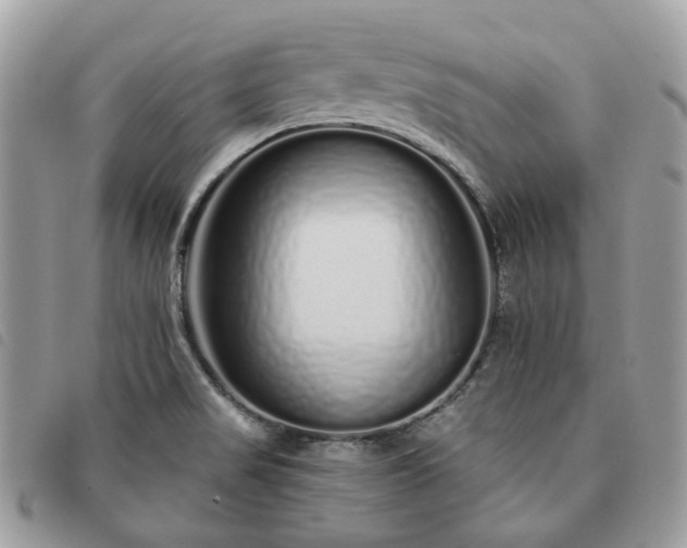 X0000091311517200708171403