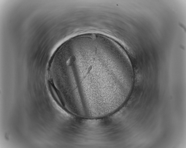 X0000091311518200708171403