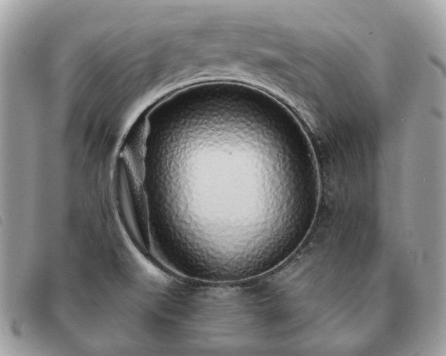 X0000091311519200708171403