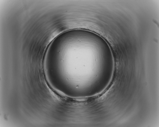 X0000091311521200708171403