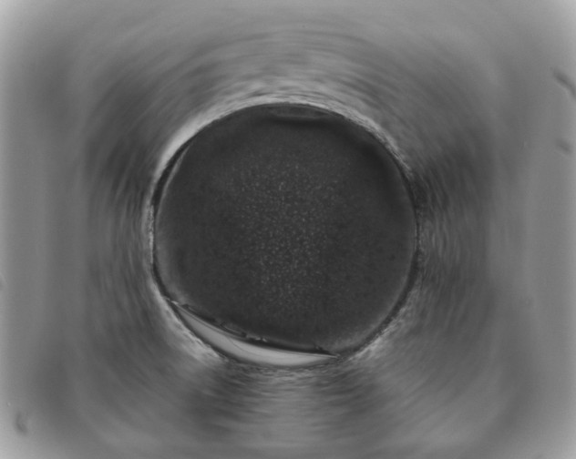 X0000091311522200708171403