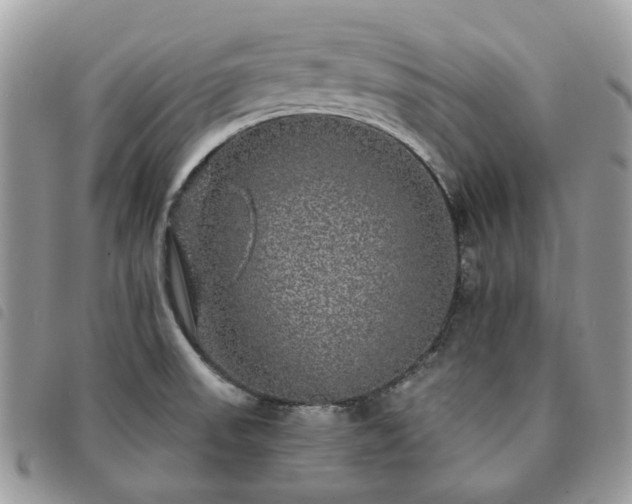 X0000091311523200708171403