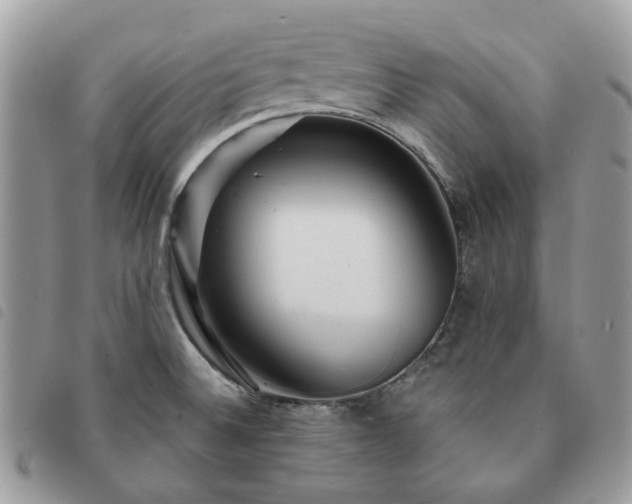 X0000091311524200708171403