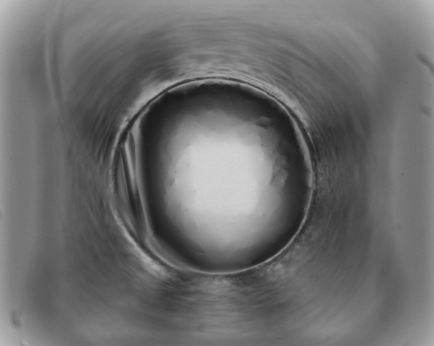 X0000091311525200708171403