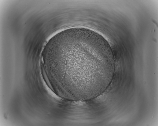 X0000091311526200708171403