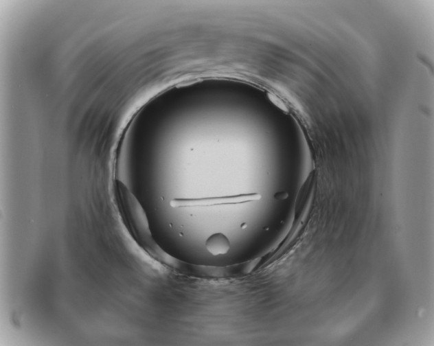 X0000091311528200708171403