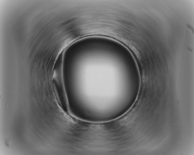 X0000091311529200708171403