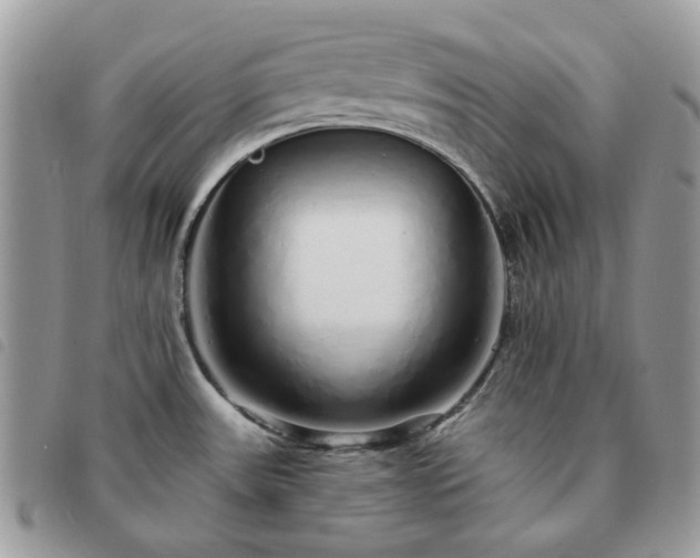 X0000091311531200708171403