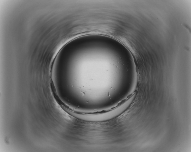 X0000091311532200708171403