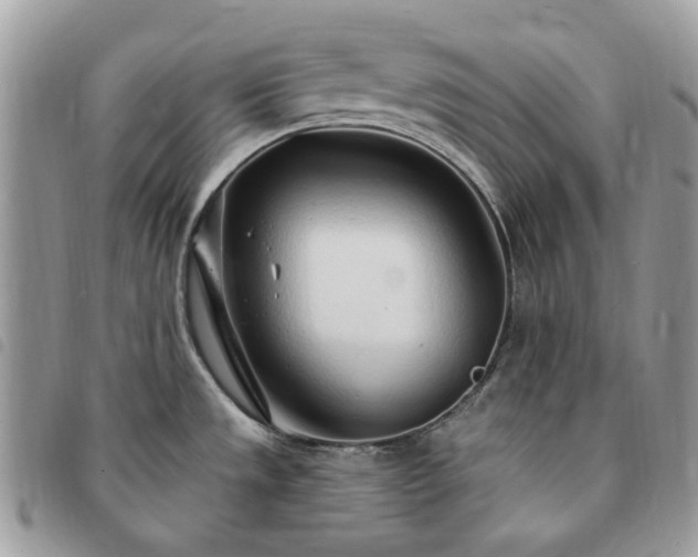 X0000091311533200708171403