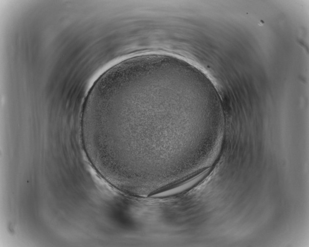 X0000091311534200708171403