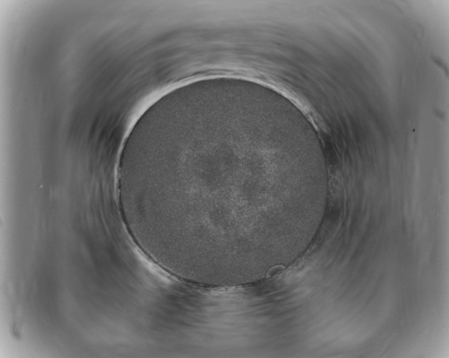 X0000091311535200708171403