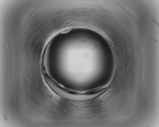 X0000091311536200708171403