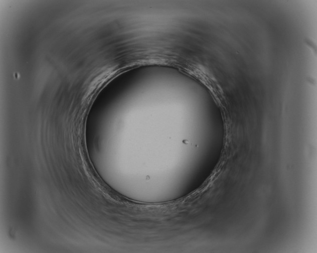 X0000091310001200708241124