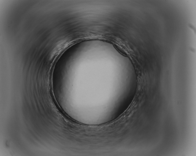 X0000091310002200708241124