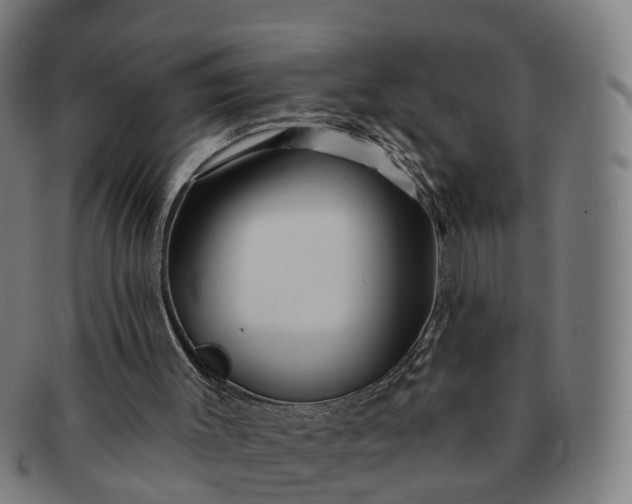 X0000091310003200708241124