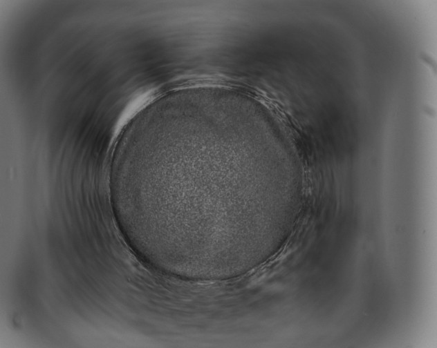 X0000091310004200708241124