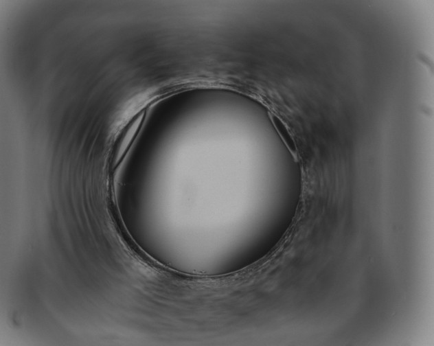 X0000091310005200708241124