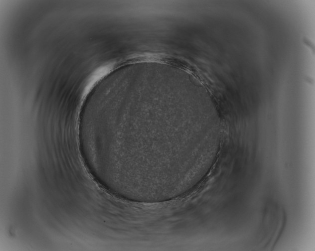 X0000091310006200708241124