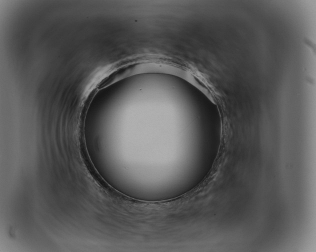 X0000091310007200708241124